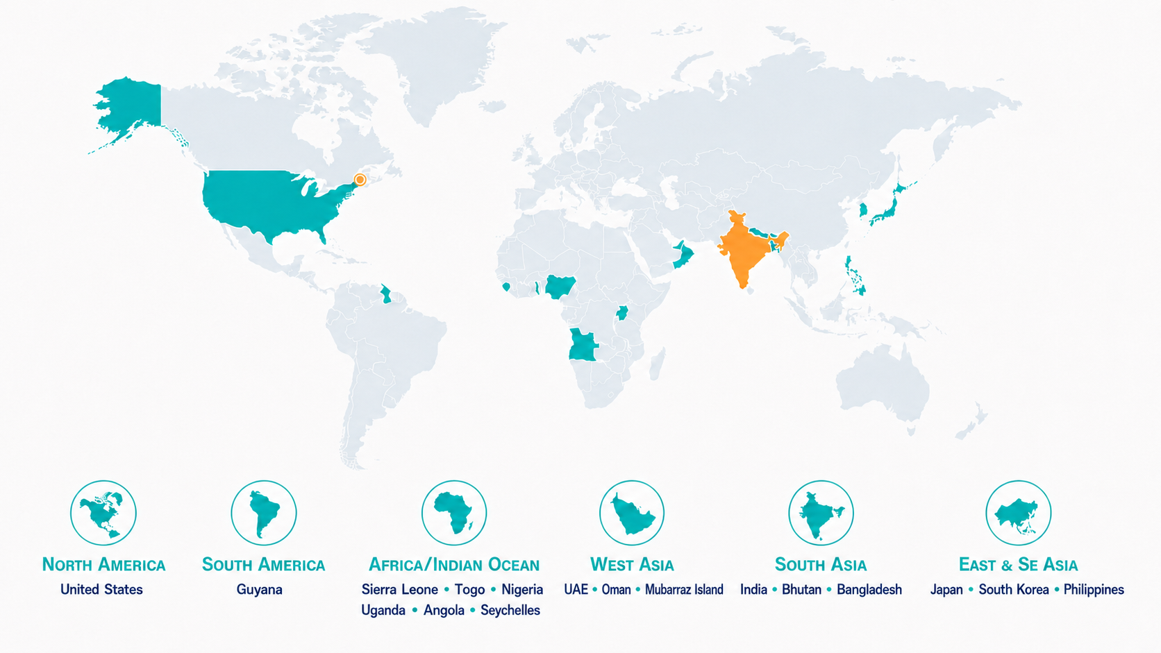 World map highlighting countries where Panacean has provided professional services, including India, the United States, South America, Africa, the Middle East and Asia